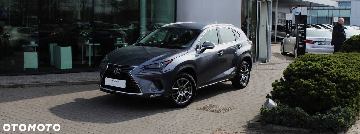 Lexus NX - 2