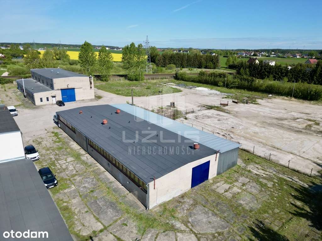 Hala magazynowo-produkcyjna 592 m² do wynajęcia - Pełny obrazek: 4/15