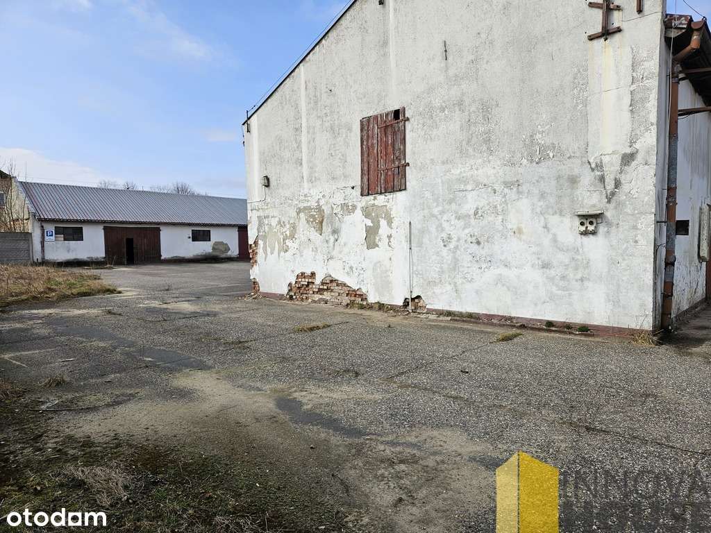 Obiekt biurowo-magazynowy, Staniewice, 812 m2 - Pełny obrazek: 5/11