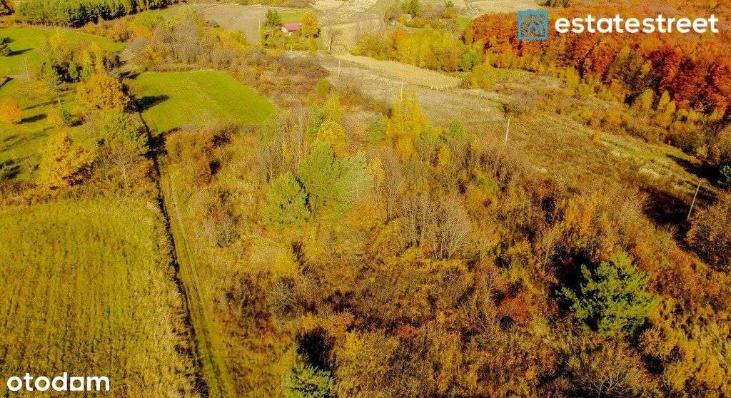 Działka widokowa|27a|Pruchnik - Pełny obrazek: 5/5