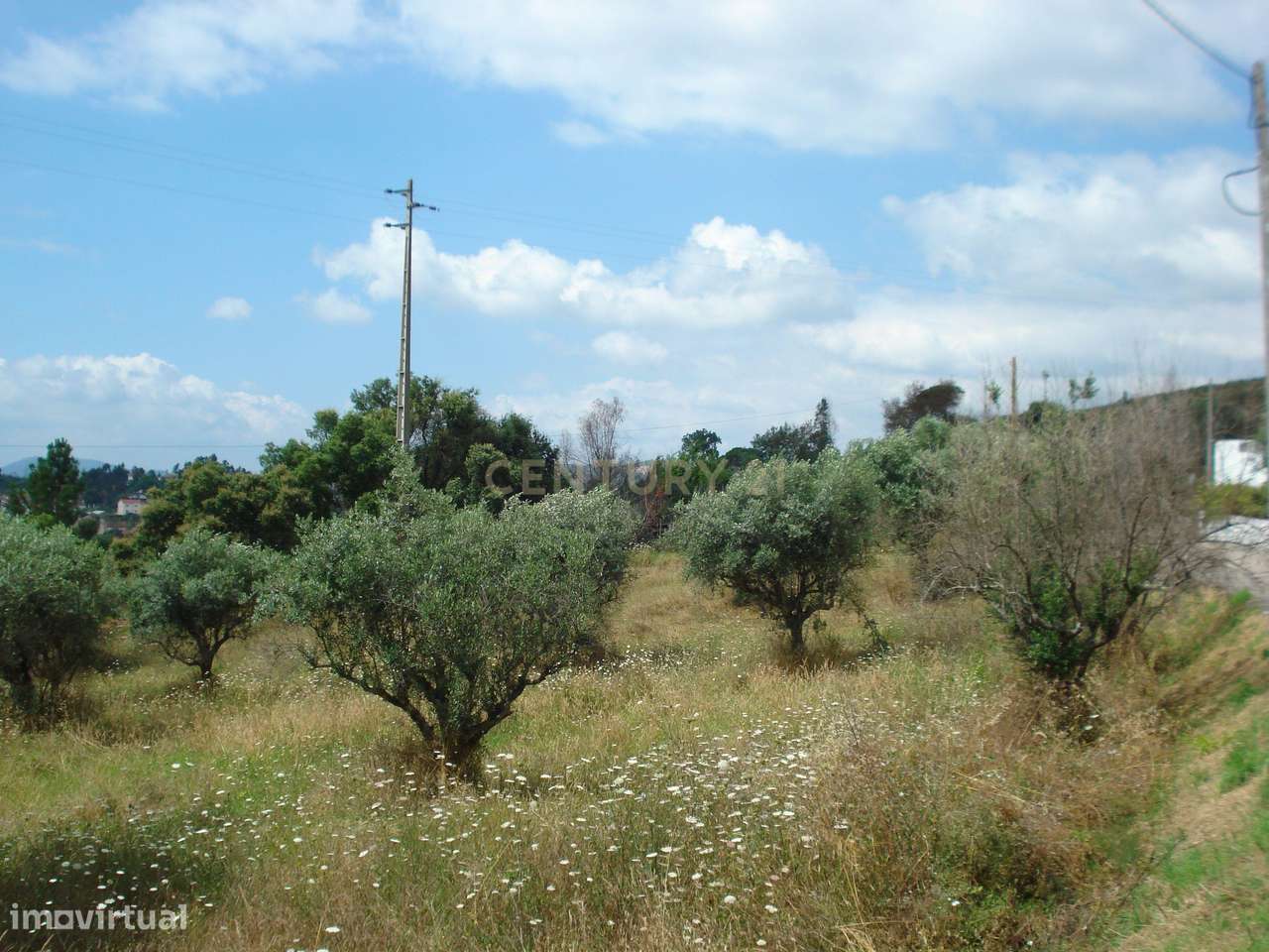 Terreno para construção com vistas boas num local sossegado a 10 min d - Grande imagem: 3/5