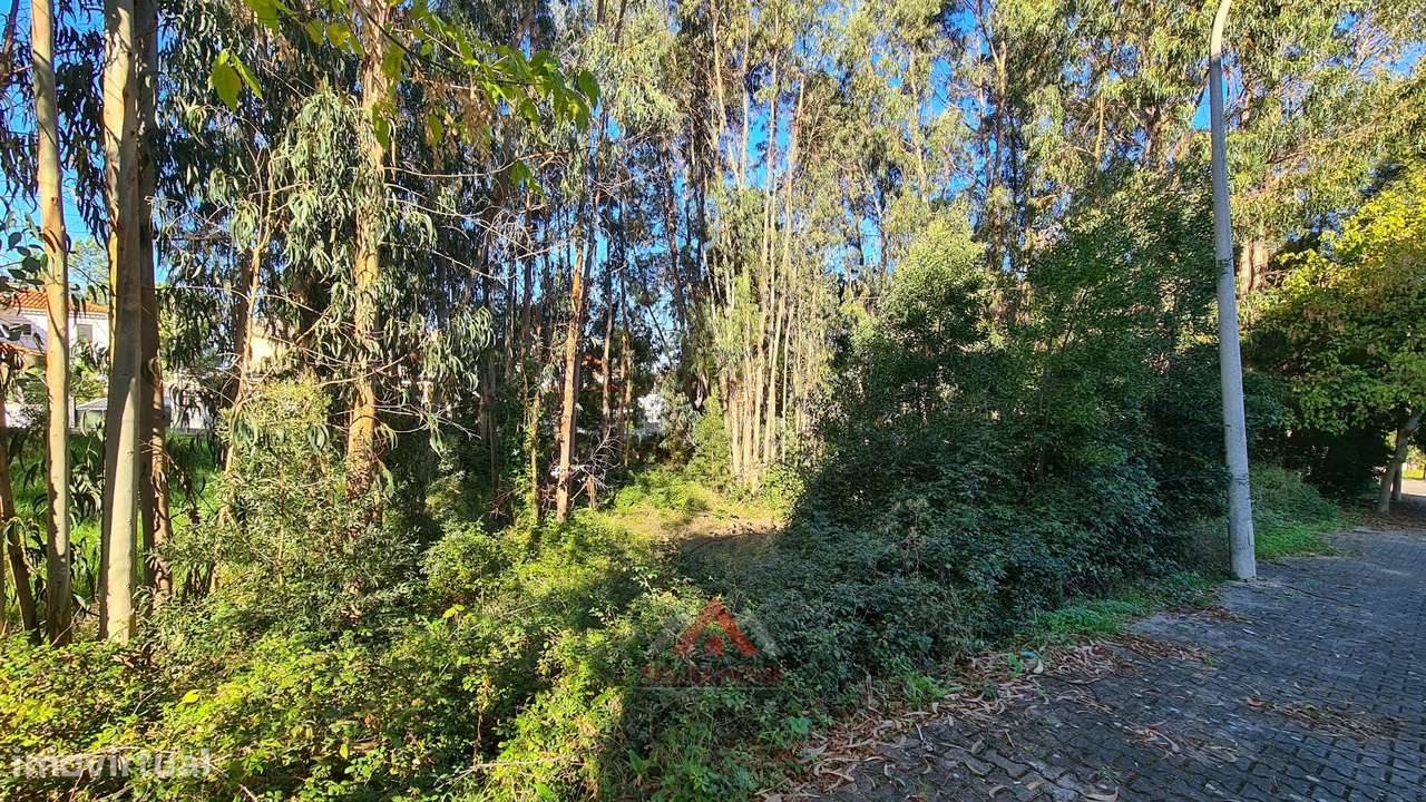 Lote Para Construção / Habitação - Moradia - Grande imagem: 5/23