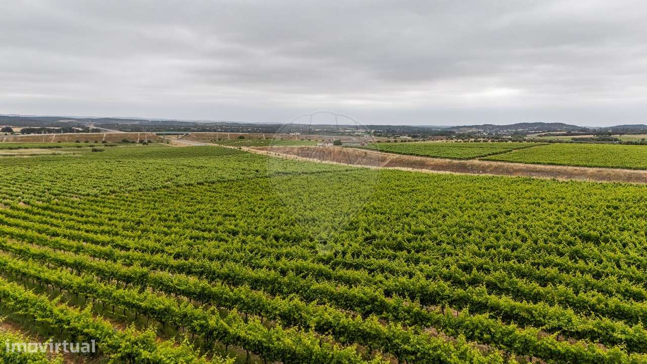 Quinta  para venda - Grande imagem: 3/12