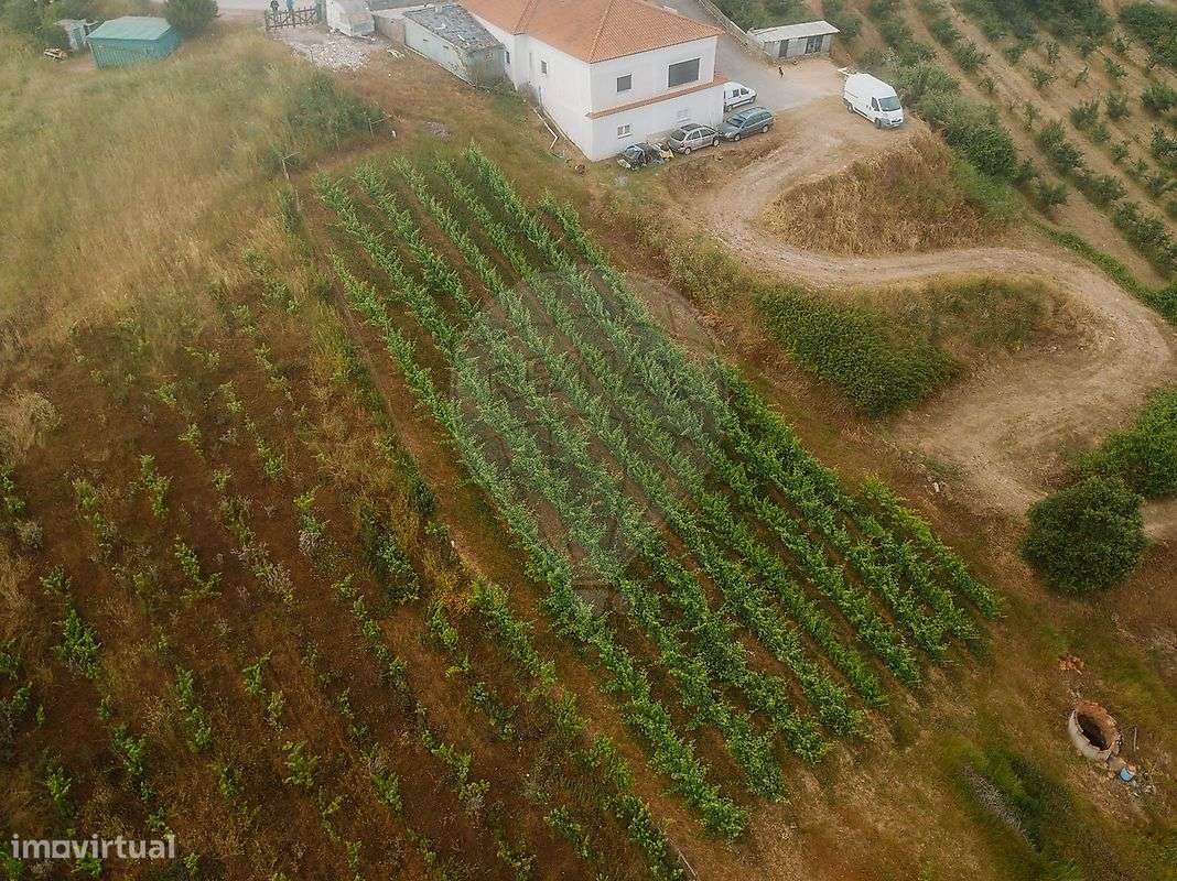 Terreno  para venda - Grande imagem: 4/13