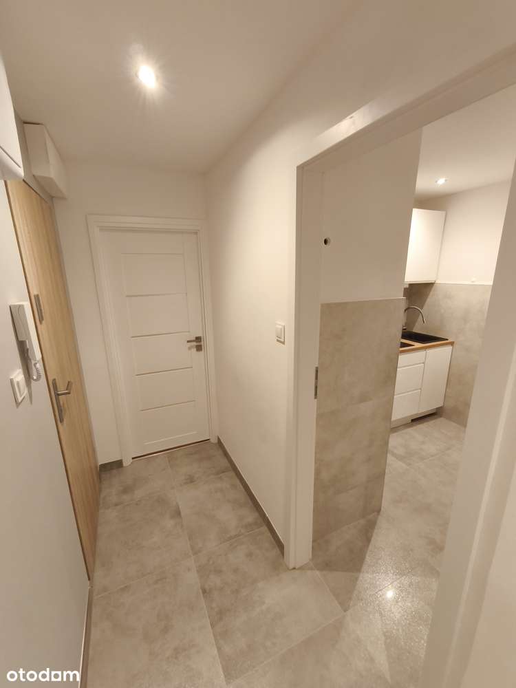 Do wynajęcia przestronne pokoje na Przedmieściu Oławskim we Wrocławiu - Pełny obrazek: 5/14