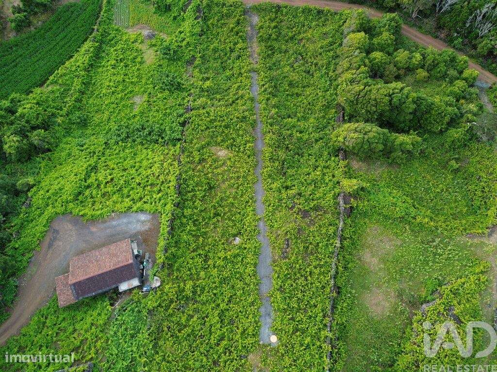 Terreno em Santa Luzia de 2914,00 m2 - Grande imagem: 4/15