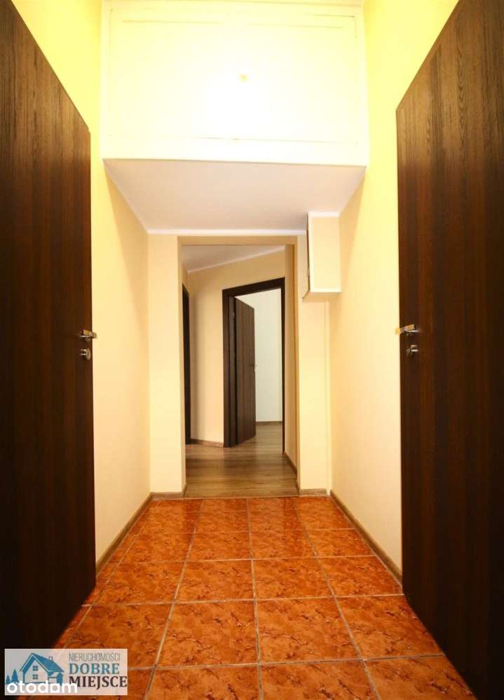 M-4 z możliwością M-5, 77m2, Wilczak, ogródek! - Pełny obrazek: 4/10