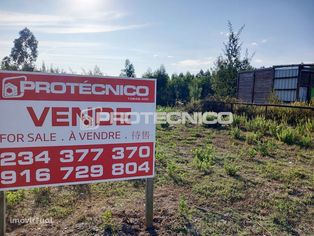 Terreno c/ 10.000m2 – Albergaria-a-Velha