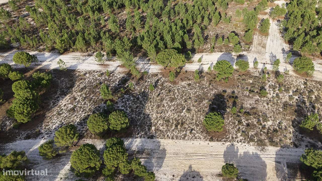 Terreno agrícola em Grândola - Grande imagem: 5/27