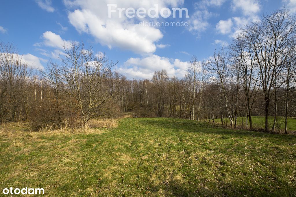 Działka 34 ar Lubenia, zaledwie 18 km od Rzeszowa