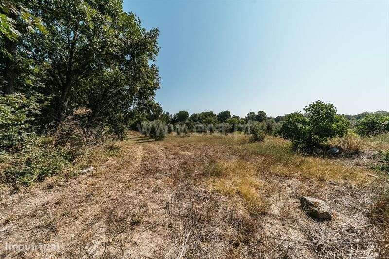 Quinta / Fundão, Valverde - Grande imagem: 4/15