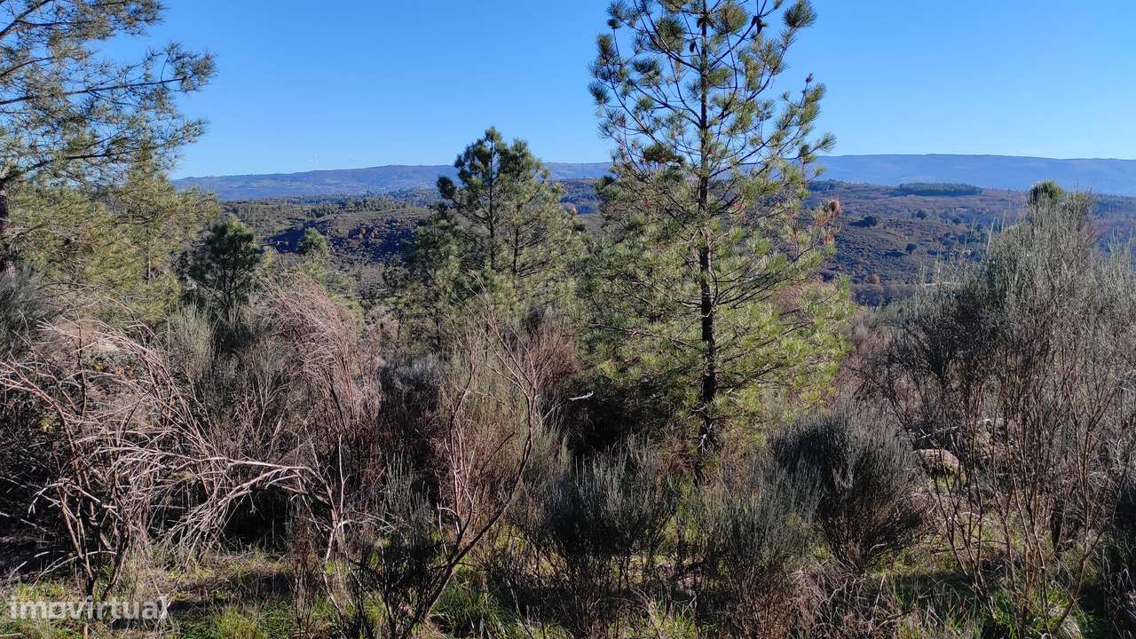 Quinta com vista deslumbrante para a Serra da Estrela 17500€ - Grande imagem: 4/22
