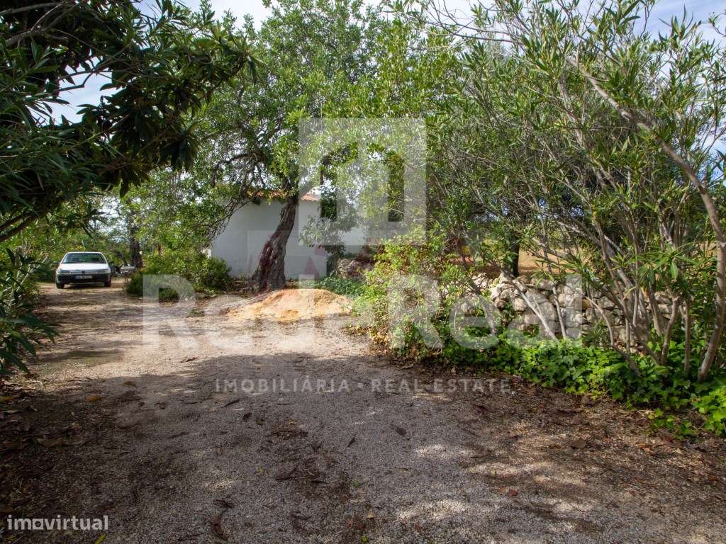 Moradia com 1. 556 hectares com furo e água da rede-23