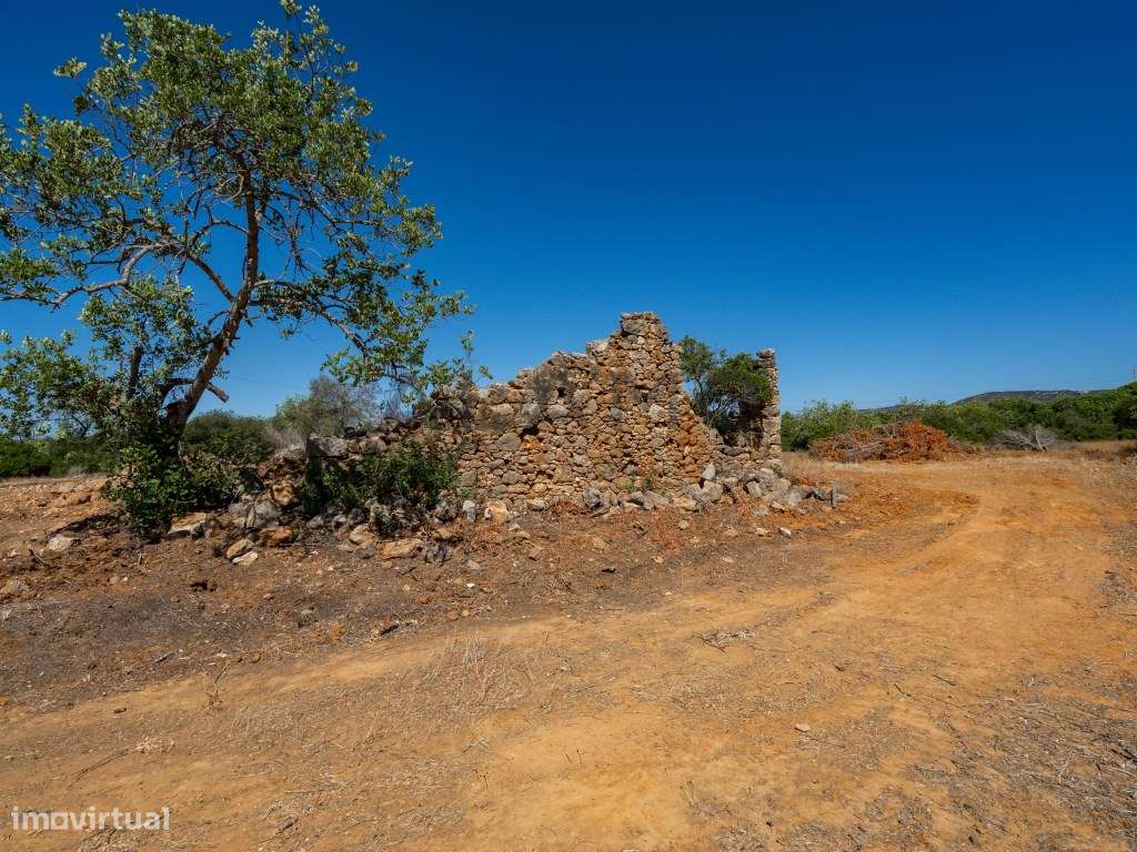 Terreno com 26.724m2 com viabilidade para construção de moradia - Grande imagem: 5/19