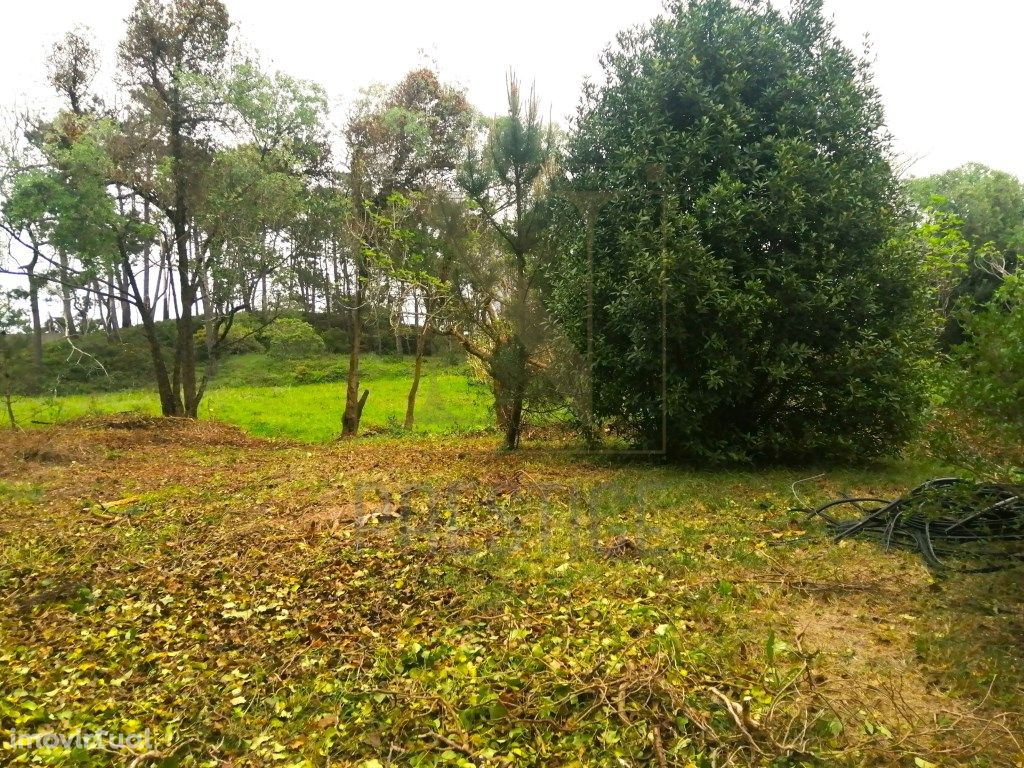 Terreno urbano na Serra da Boa Viagem