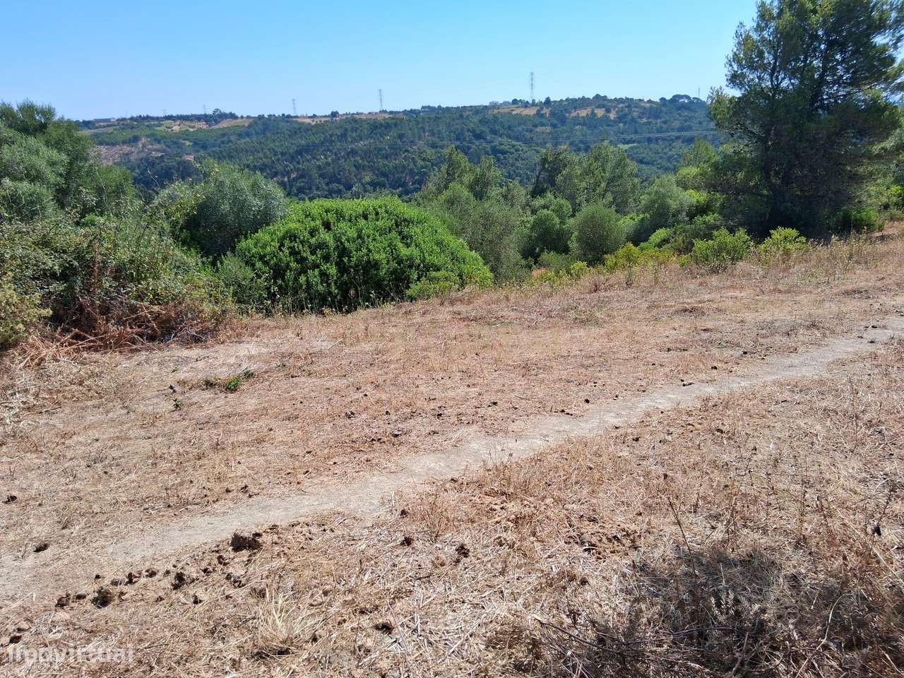 Terreno agrícola - Grande imagem: 2/5