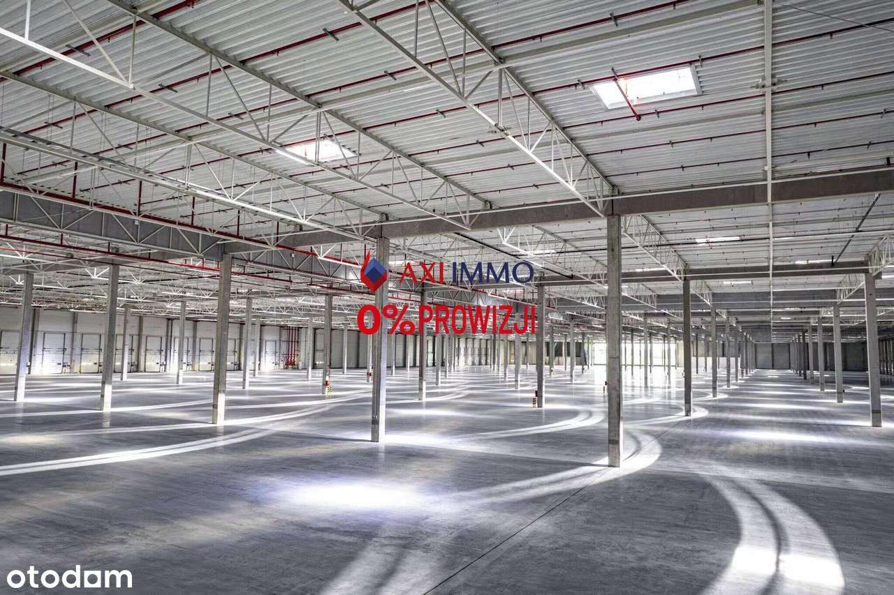 Magazyn klasy A | 4 200 mkw przy trasie S7 - Pełny obrazek: 4/4