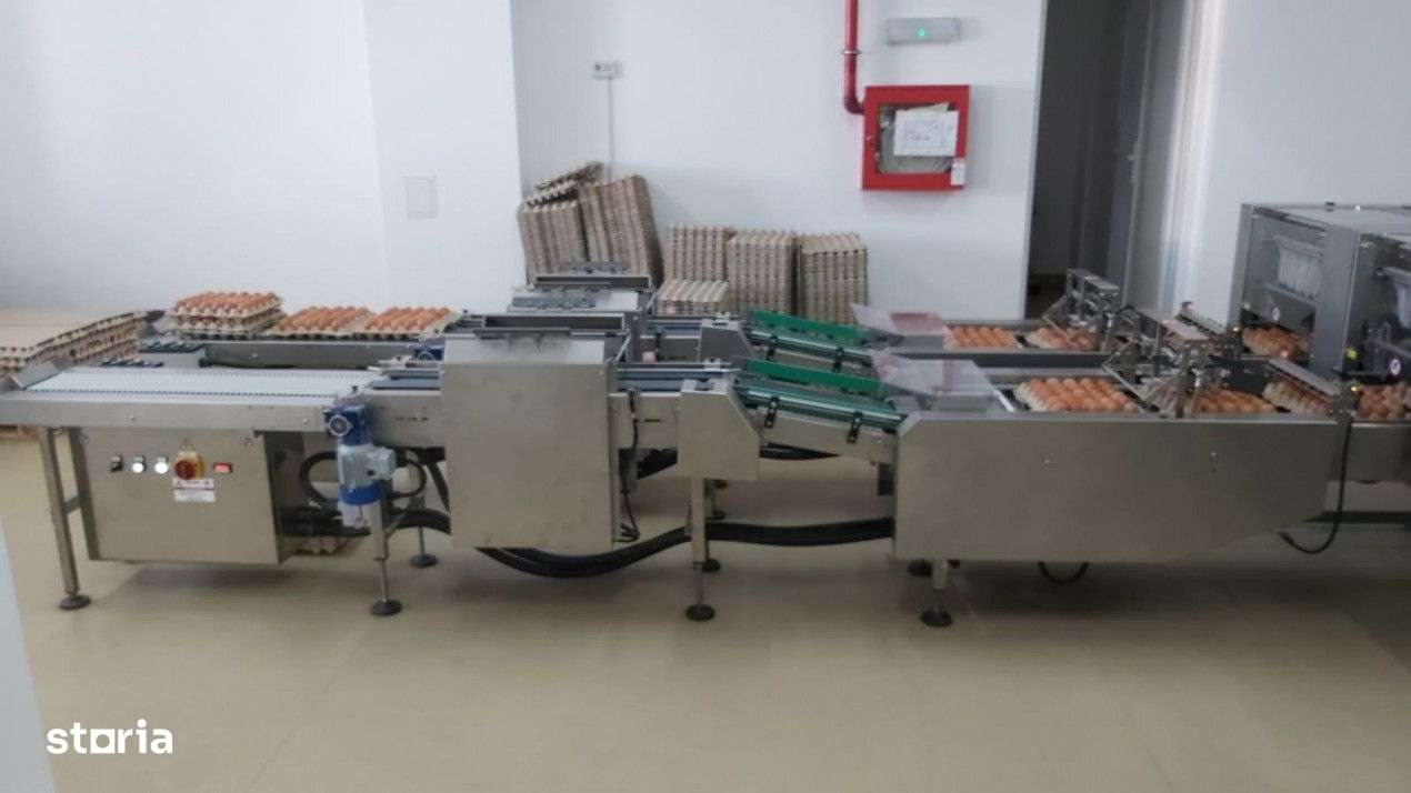 DE VÂNZARE Hala producție oua consum-6