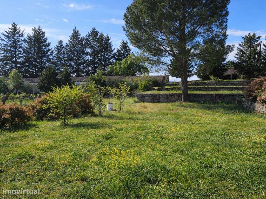 ATIVO TURÍSTICO + QUINTA DE EXCEÇÃO NA BEIRA ALTA-27