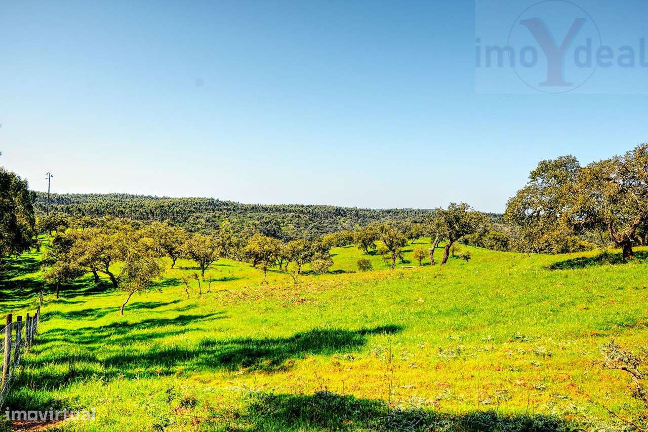 TERRENO EM S.BARTOLOMEU DA SERRA-25