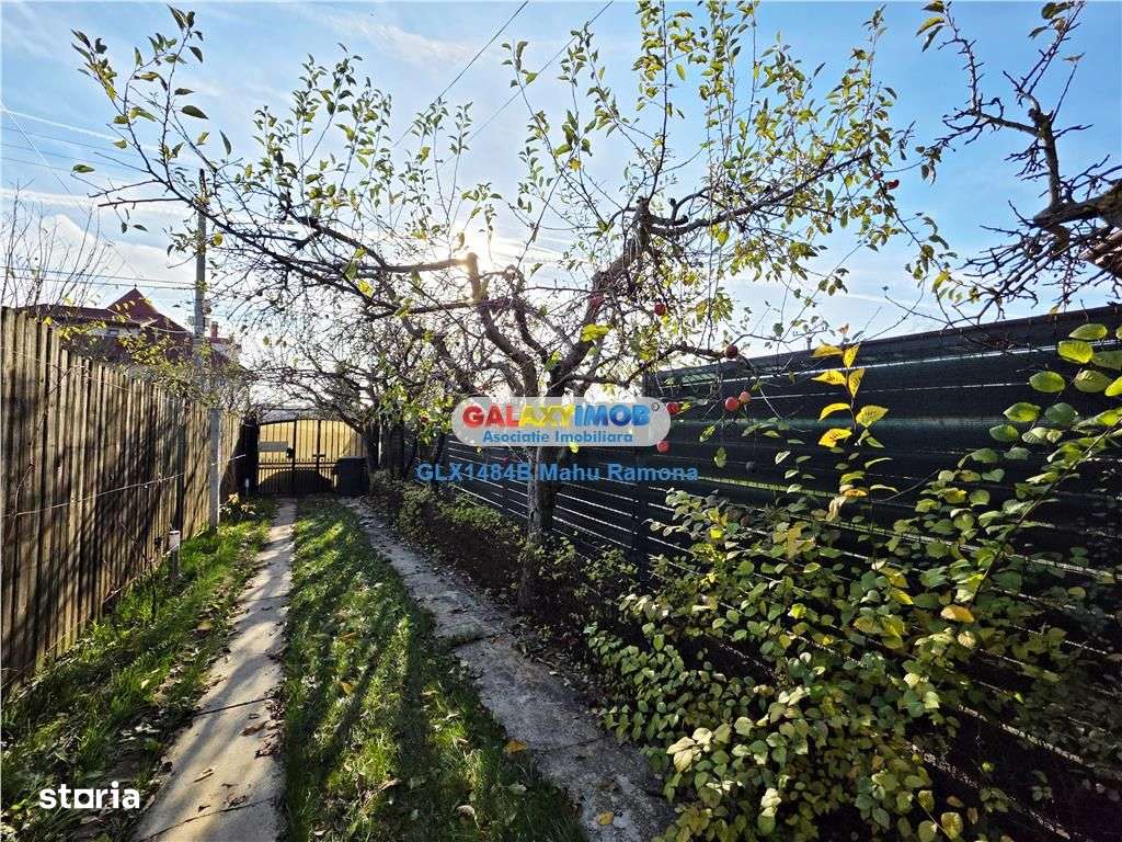 Casa individuala (P+1+M), Balotesti, Martha Bibescu-3