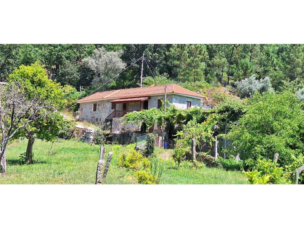 NEGOCIÁVEL Quintinha com casa em pedra perto passadiço do paiva - Grande imagem: 2/14