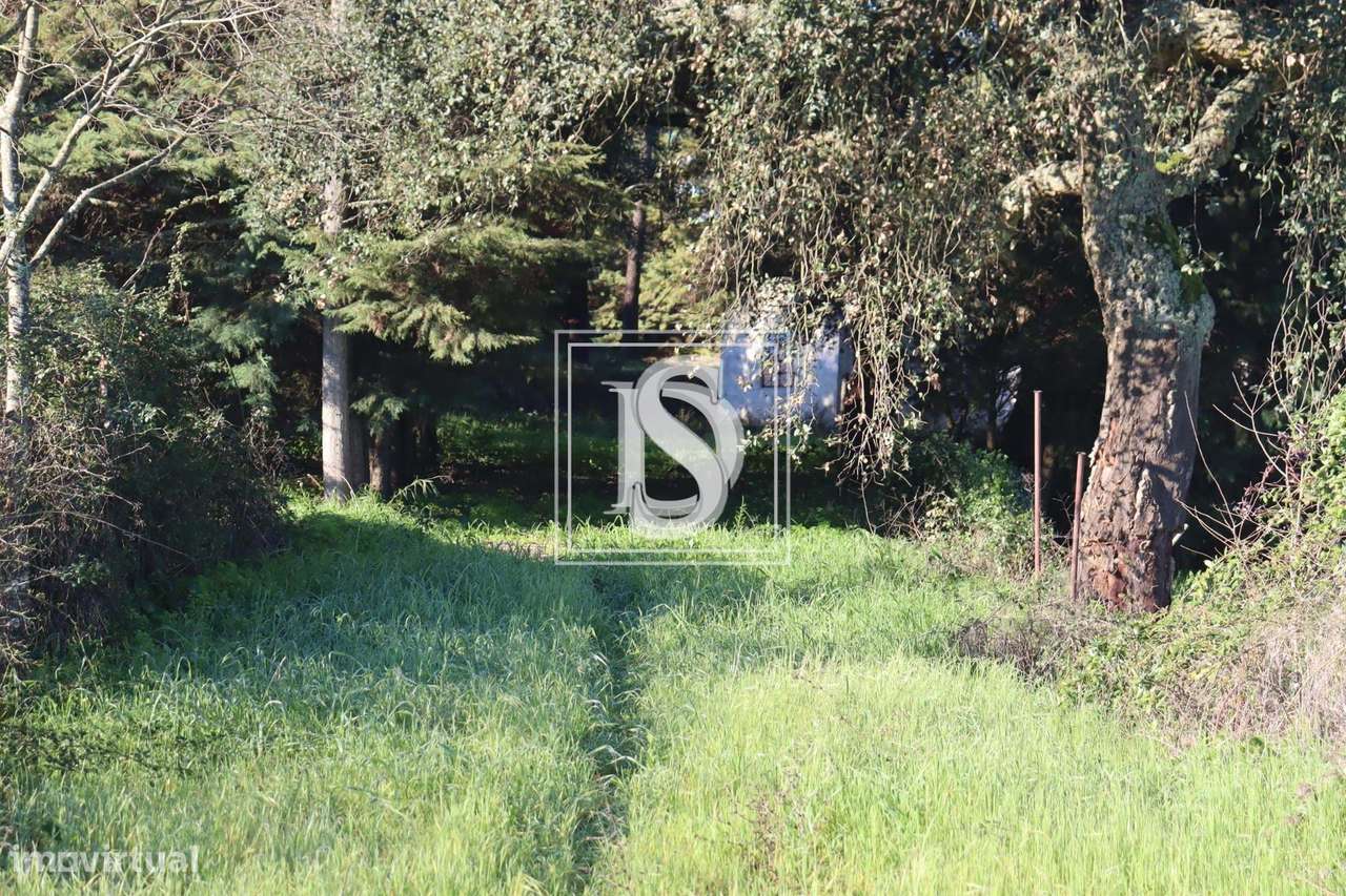 Terreno Urbano - Abrantes - Grande imagem: 3/22