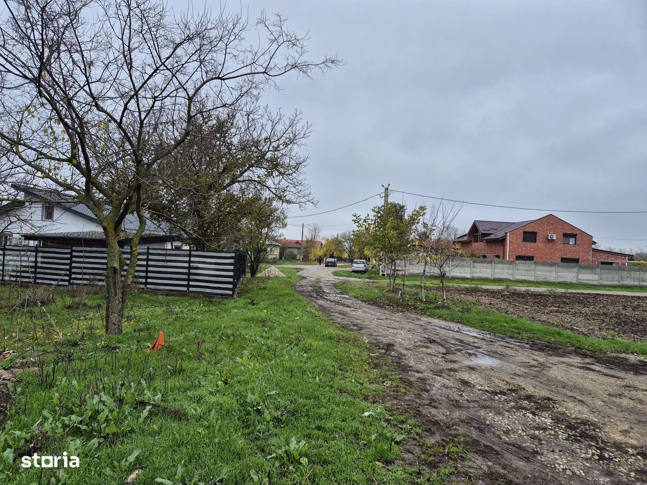 Teren intravilan 45km Bucuresti, Pasarea-Frumusani, jud Calarasi-3