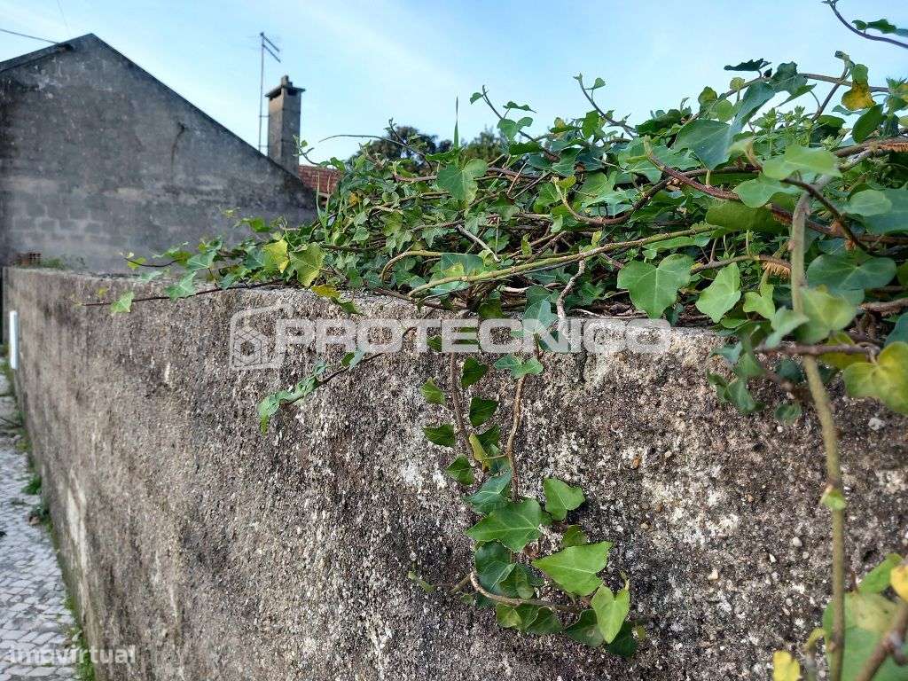 Terreno p/ Moradia Isolada – Aradas - Grande imagem: 3/6