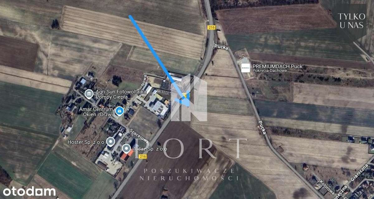 6093 m2 działki w Połchowie gm. Puck - Pełny obrazek: 5/6