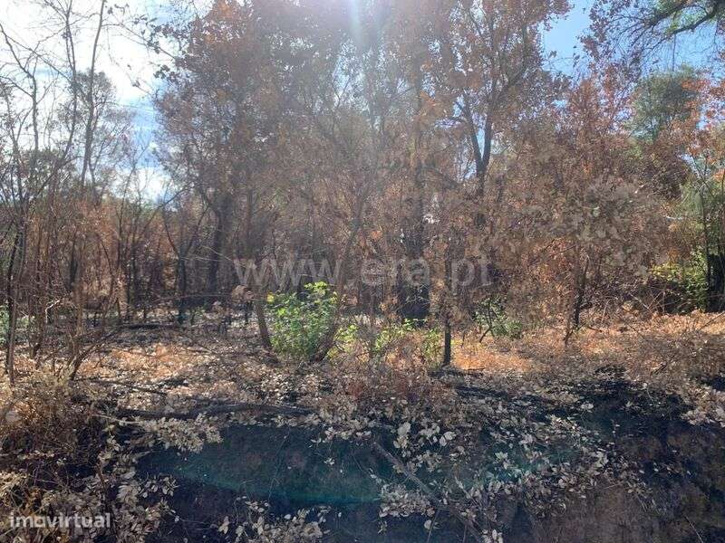 Terreno / Fundão, Freixial - Grande imagem: 4/5