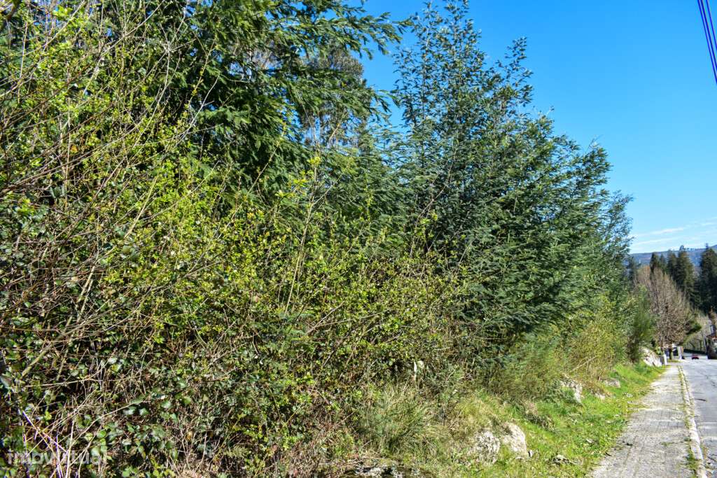 Lote Construção - Vieira do Minho - Grande imagem: 3/9