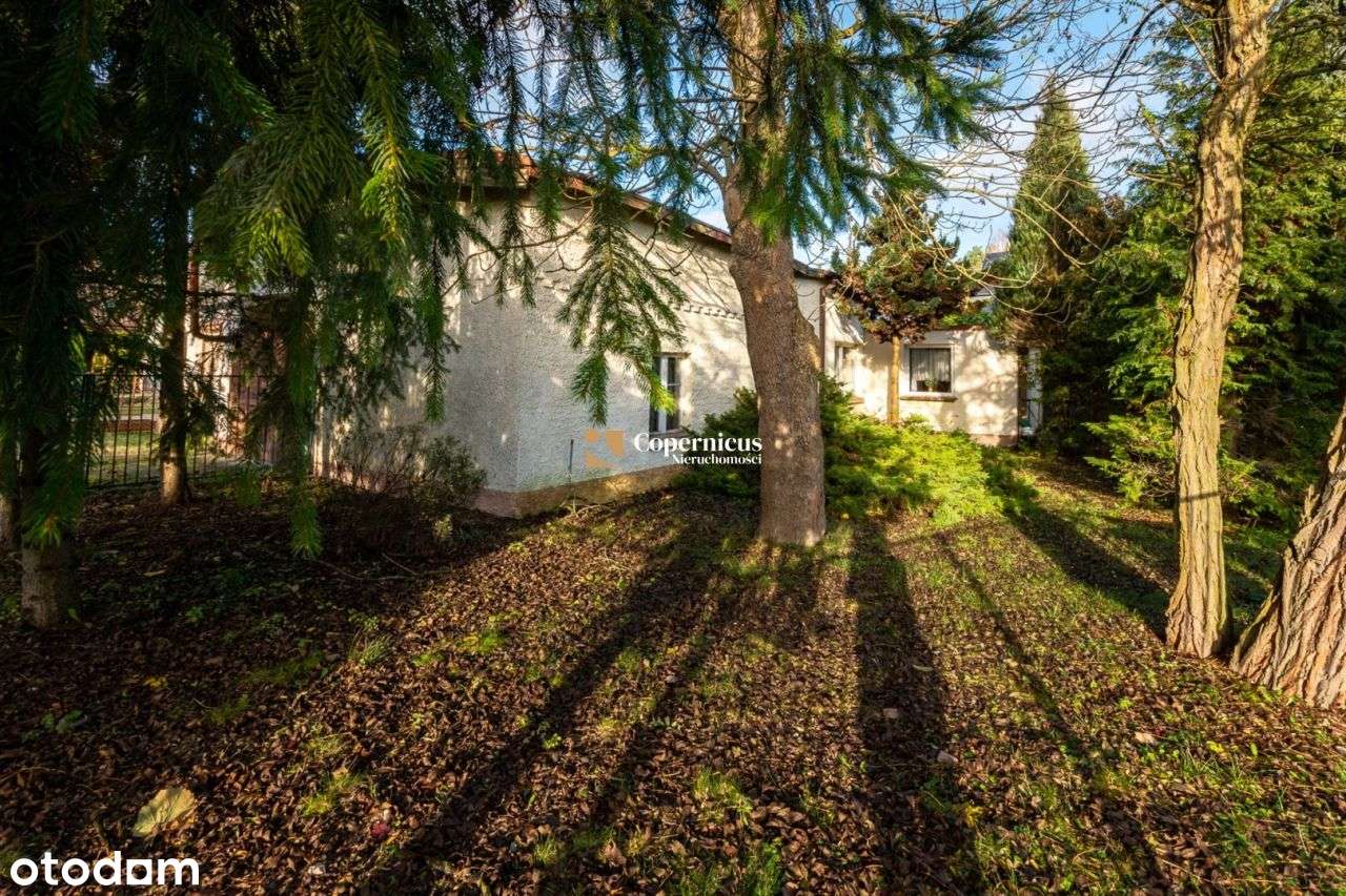 prestiżowa lokalizacja nieopodal Lasu - Pełny obrazek: 5/12