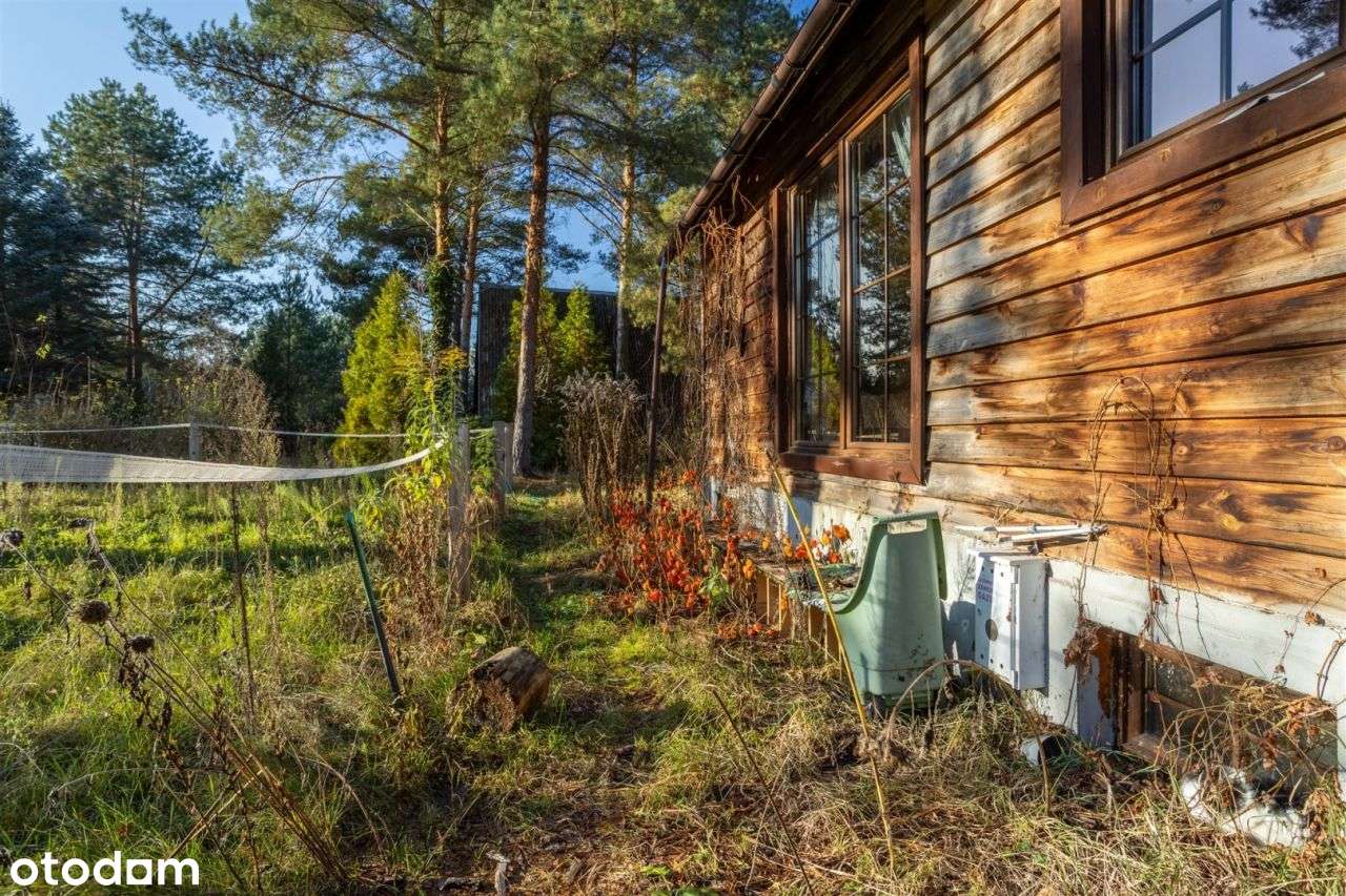 Dom drewniany całoroczny przy lesie Działka 915m - Pełny obrazek: 4/20
