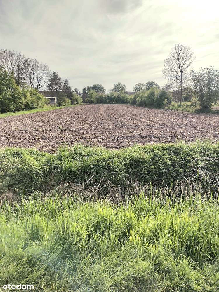 Dom z dużą działką obok Oławy.-8