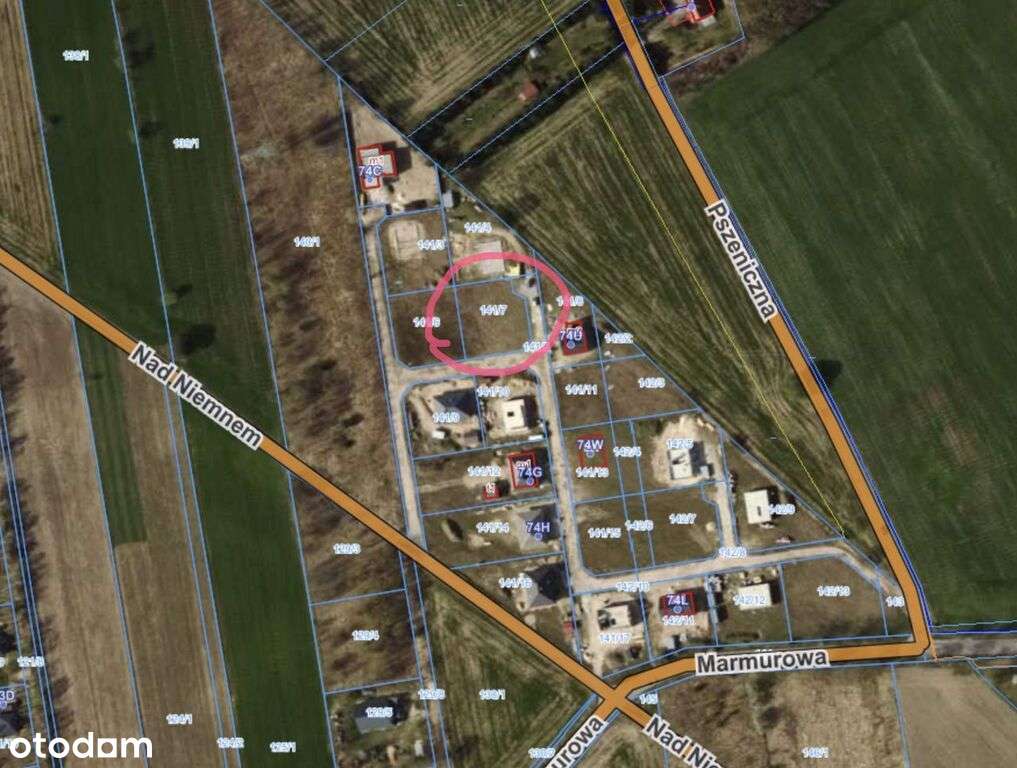 Działka 1000m2 ostatnia taka!Nad Niemnem/Marmurowa - Pełny obrazek: 5/11