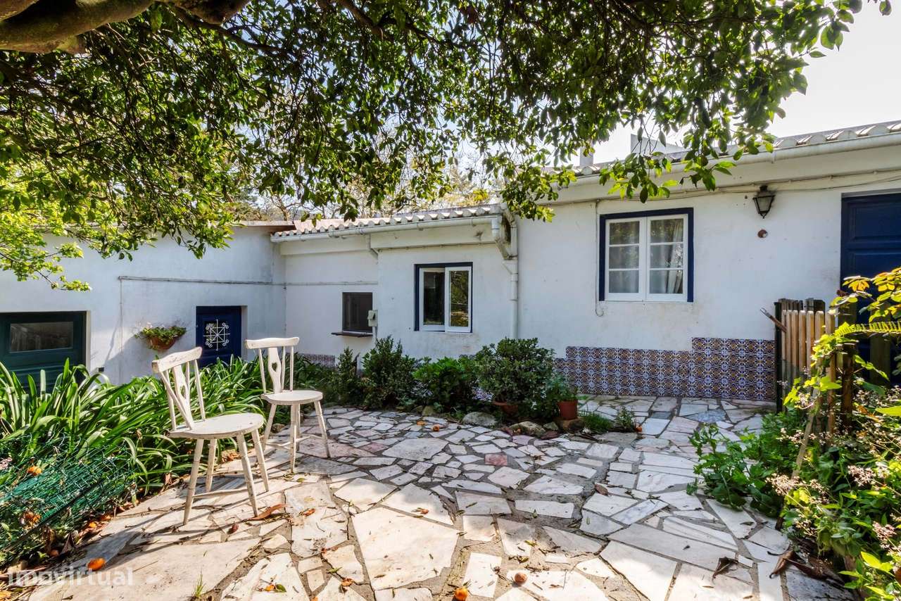 Moradia T6 c/ Terreno de 1600m2 c/ Piscina, Garagem e Anexos em Colare-12