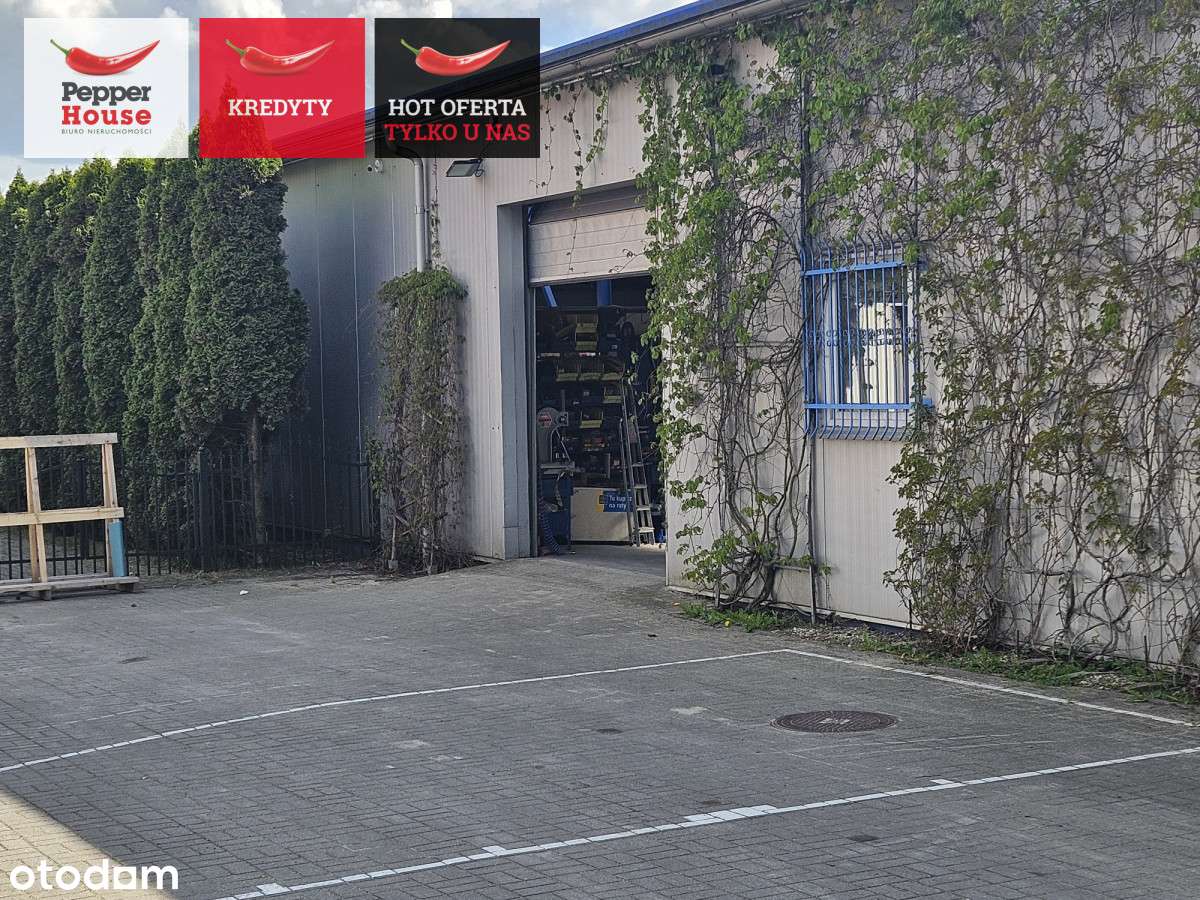 Na wynajem Hala magazynowa + Dom!!! - Pełny obrazek: 3/7