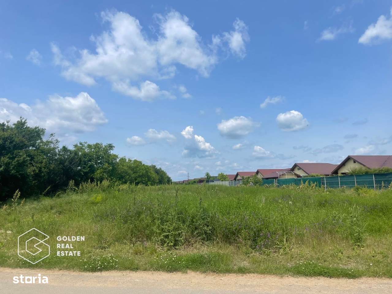 Teren intravilan, Balotești, Strada Cameliei 36, 10.000 mp - Imagine principală: 2/5