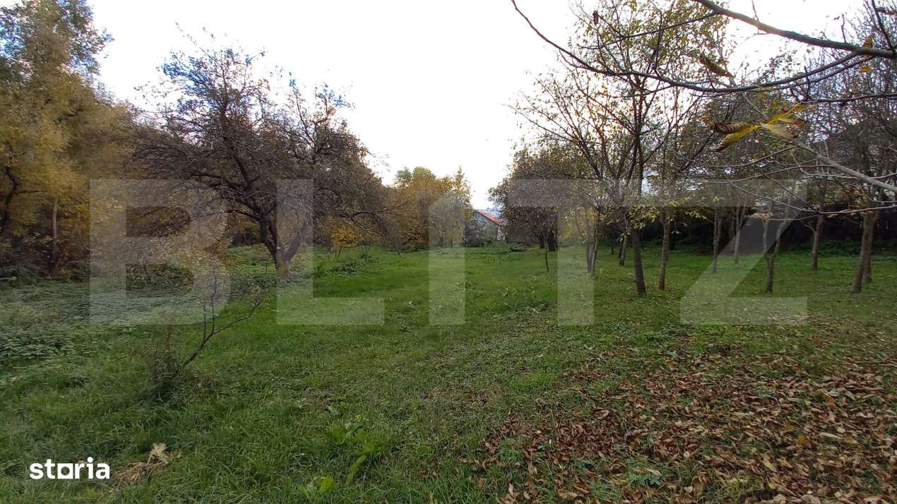Investitie ! Teren intravilan construibil  2000 mp, front 48 m, Ciuri - Imagine principală: 2/2
