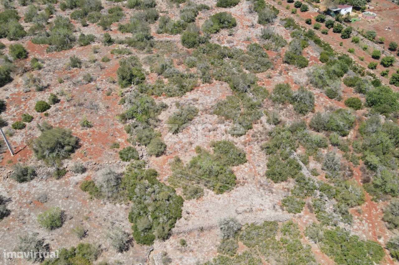 Terreno rústico em Messines, Casas Velhas, com 2.960m2 - Grande imagem: 5/18