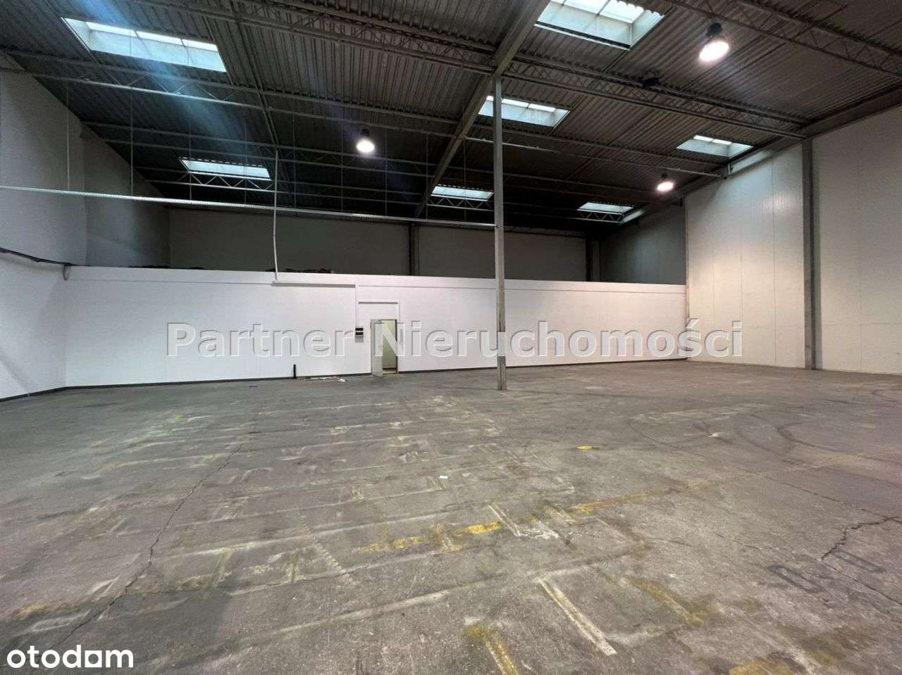 Hala Magazynowo - Produkcyjna ! Toruń ! 470m!!! - Pełny obrazek: 2/6