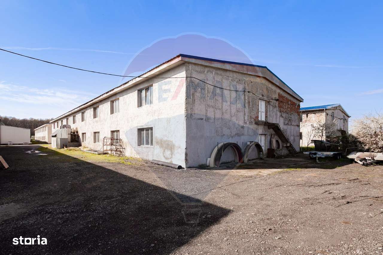 Hala de inchiriat 1000 mp, Calea Bodrogului - Imagine principală: 5/9