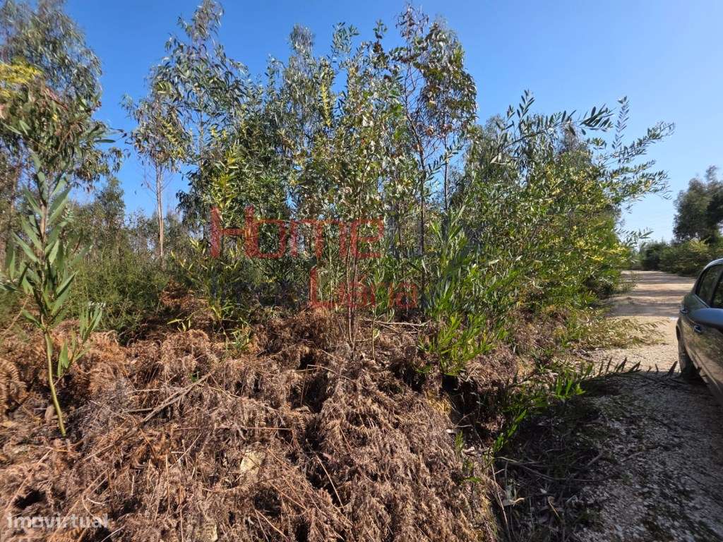Terreno na zona industrial de Albergaria-a-Velha-9