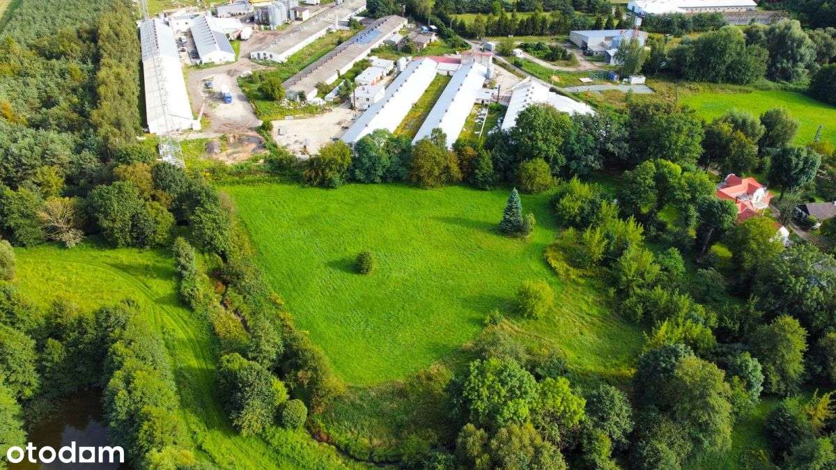 ! 1ha Działka Inwestycyjna 6km OD Oleśnicy ! - Pełny obrazek: 5/6