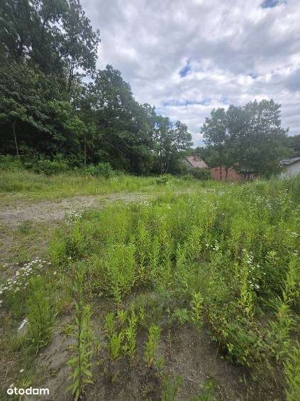 Działka z potencjałem i pozwoleniem - Bez prowizji-3