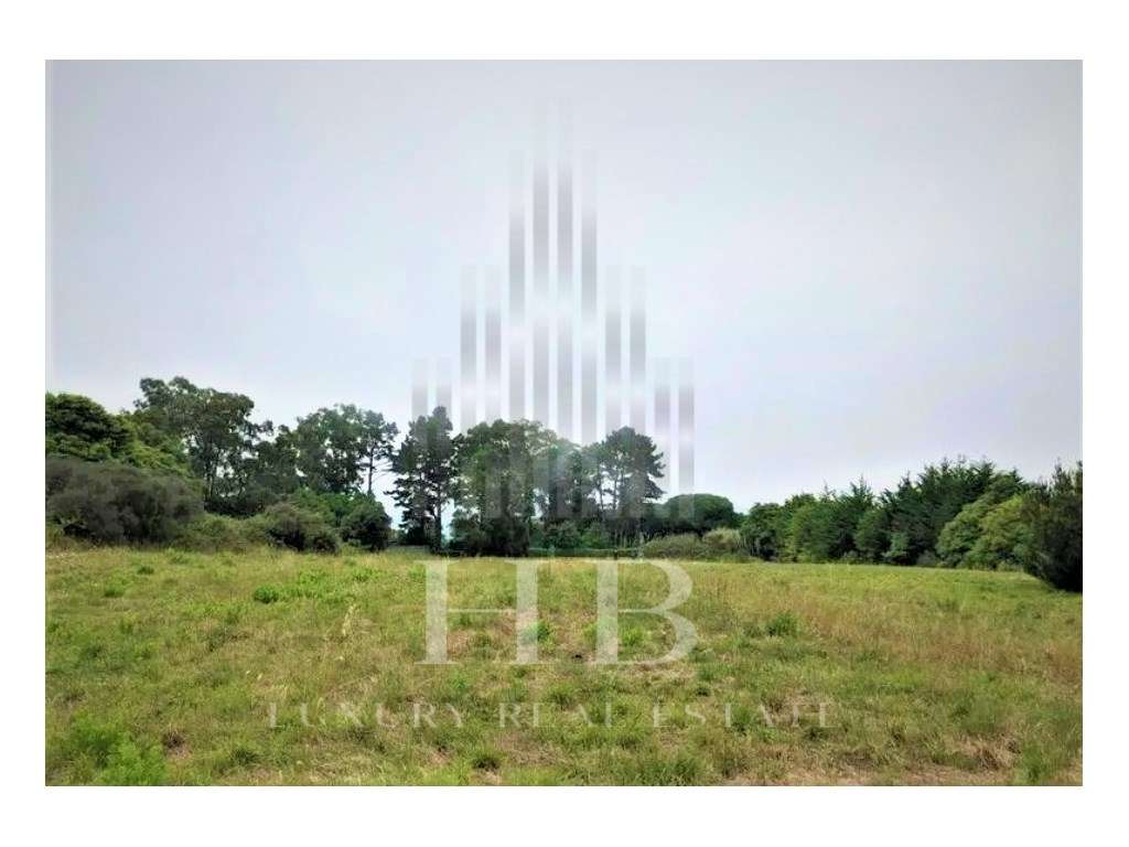 Terreno para Investimento Sintra - Grande imagem: 3/8