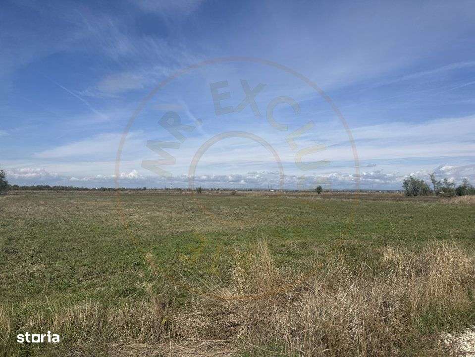 Teren intravilan 3700 mp  - zona linistita-1