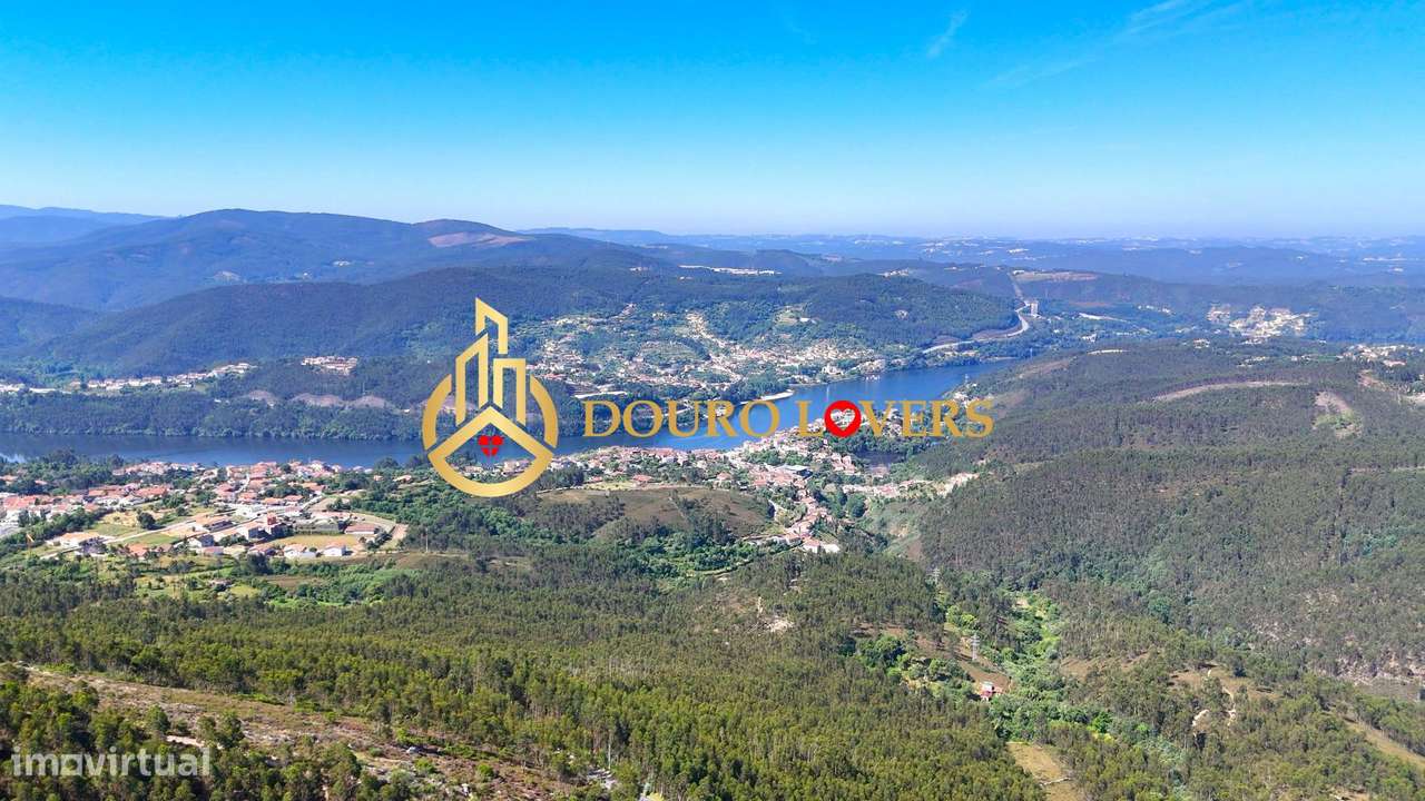 Terreno Florestal, Penafiel - Grande imagem: 5/13