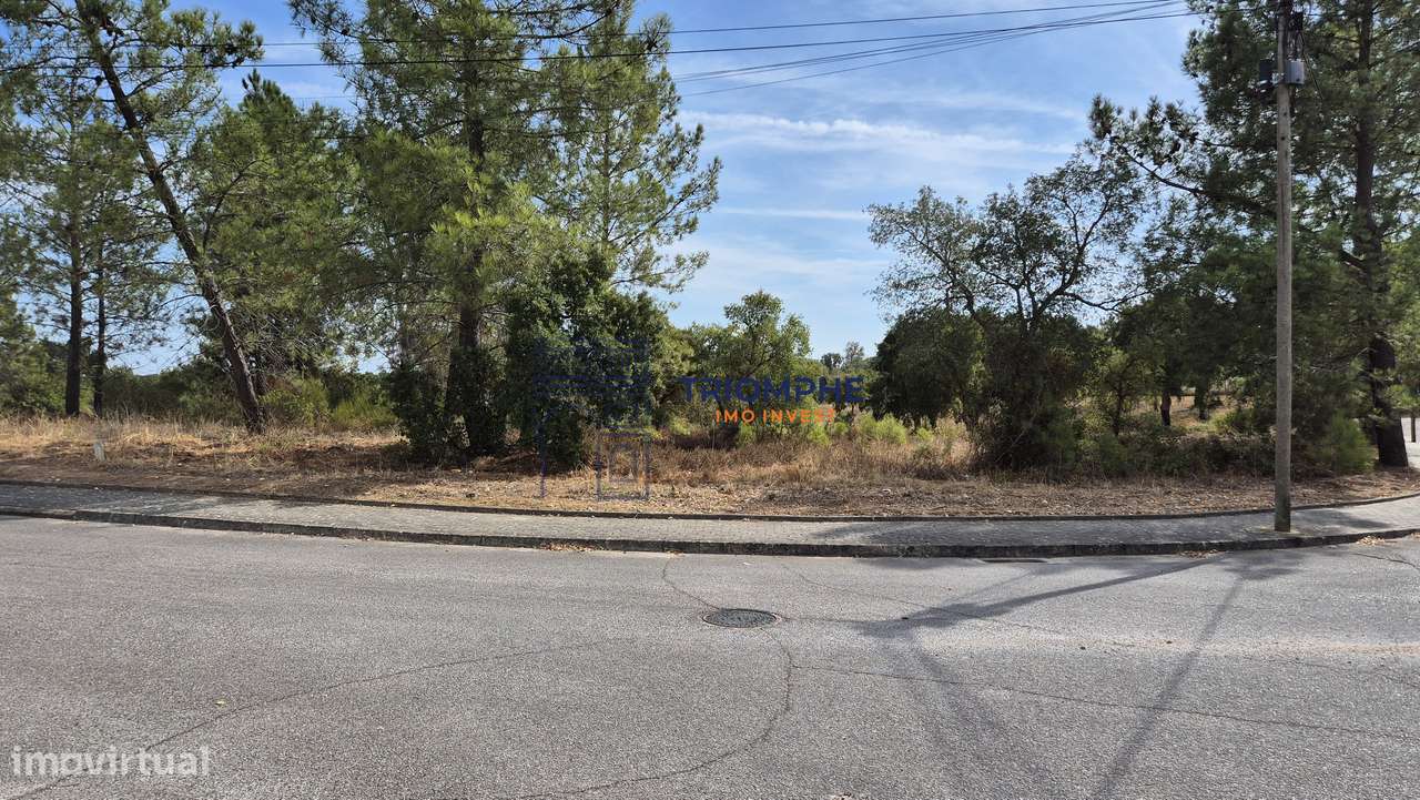 Terreno Urbano - Constância - Grande imagem: 4/5